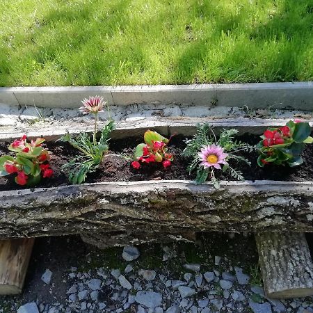 Demeny Vendeghaz Villa Sub Cetate Luaran gambar