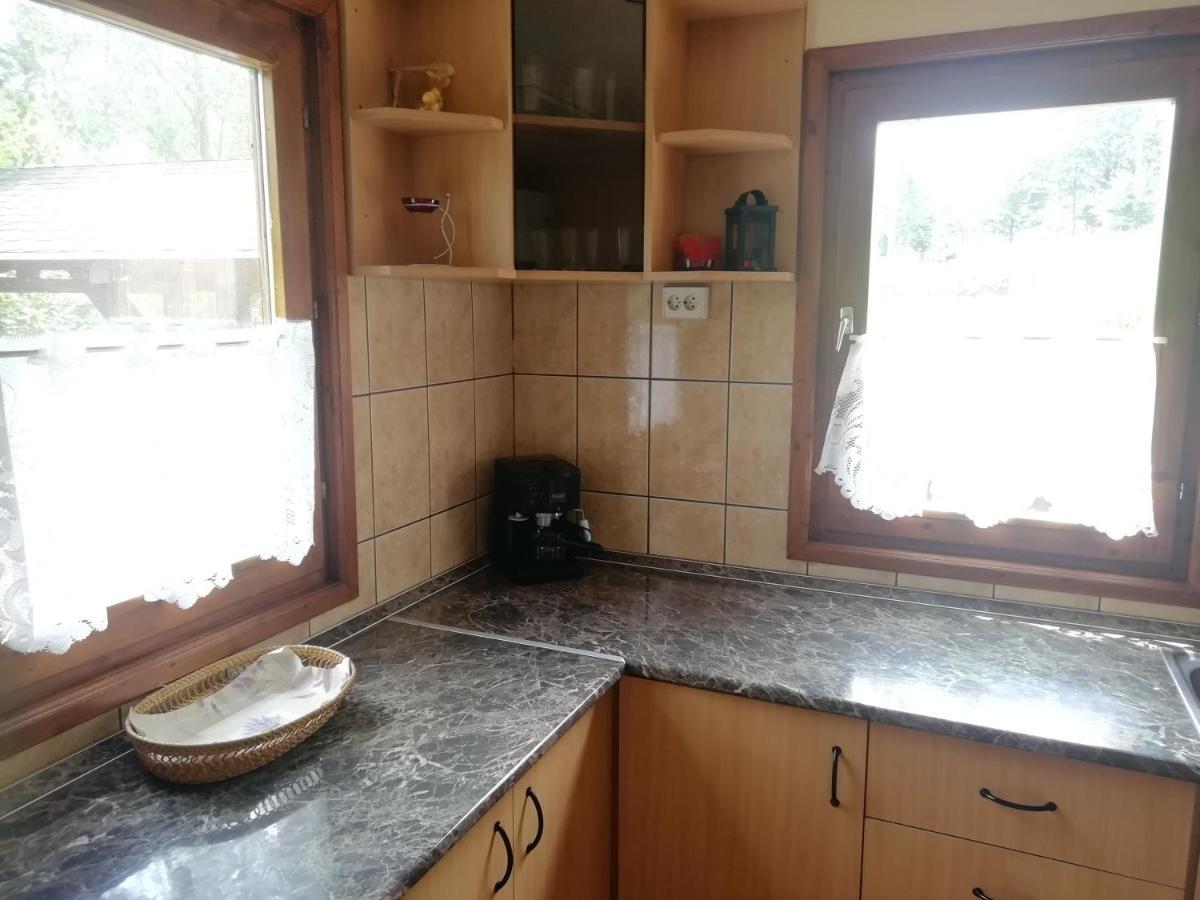 Demeny Vendeghaz Villa Sub Cetate Luaran gambar